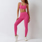 Seamless Yoga Set Workout Outfits Women Tracksuit